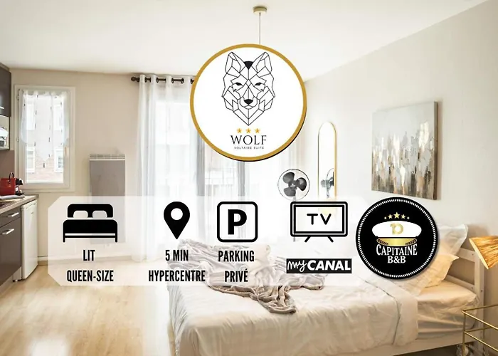 Voltaire Wolf Suite - 5 Min Hypercentre - Parking Prive